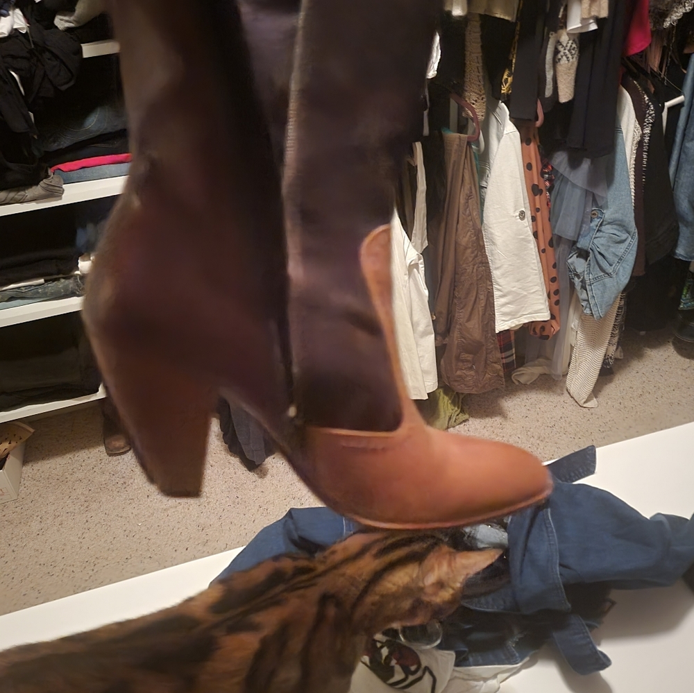 True Religion Boots